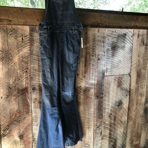 NWT Free People Garden Party Flare Overalls 28